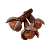 Cloves