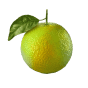 Unripe orange