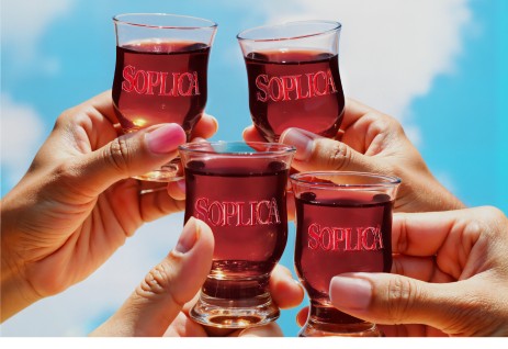 Odkrywaj smaki, inspiracje i nowości Soplicy!